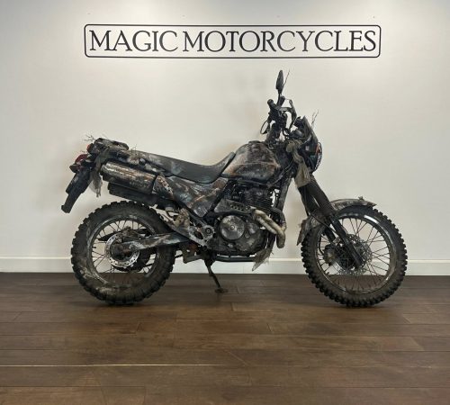SLR-650 DOMINATOR € 2.750,-